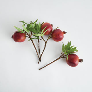 POMEGRANATE PICKS 10" ST/4