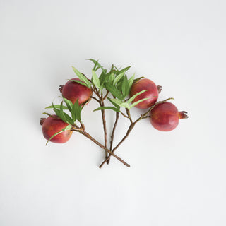 POMEGRANATE PICKS 10" ST/4