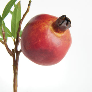 POMEGRANATE PICKS 10" ST/4