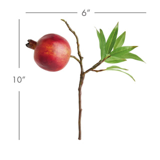 POMEGRANATE PICKS 10" ST/4