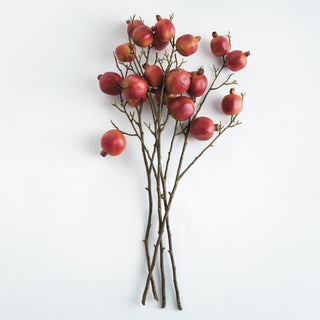 POMEGRANATE BRANCHES 36" ST/4