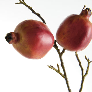 POMEGRANATE BRANCHES 36" ST/4