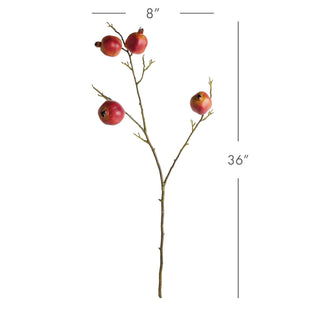POMEGRANATE BRANCHES 36" ST/4