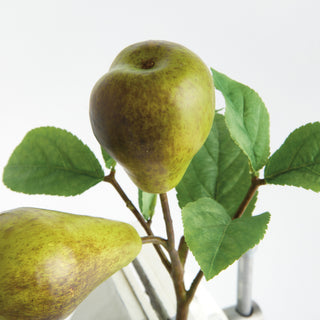 PEAR PICKS 9.5" ST/4