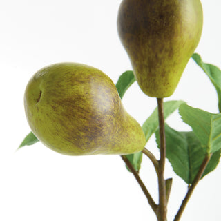 PEAR PICKS 9.5" ST/4