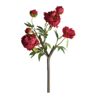 PEONY BRANCH 25"