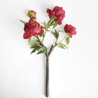 PEONY BRANCH 25"
