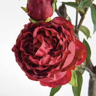 PEONY BRANCH 25"