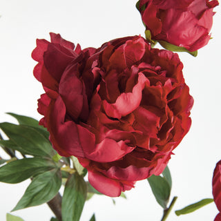 PEONY BRANCH 25"