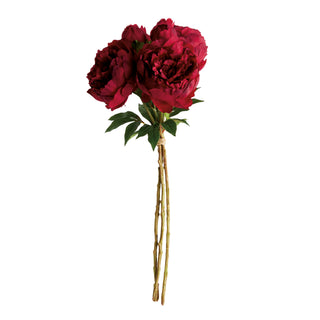 PEONIES 21" BUNDLE/3
