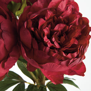 PEONIES 21" BUNDLE/3