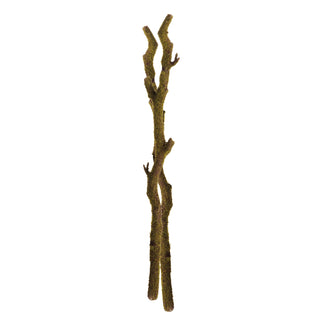 MOSS BRANCHES 24", SET OF 2