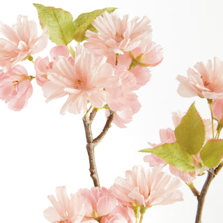 DOUBLE CHERRY BLOSSOM STEMS 28", SET OF 6
