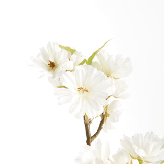 DOUBLE CHERRY BLOSSOM STEMS 28", SET OF 6