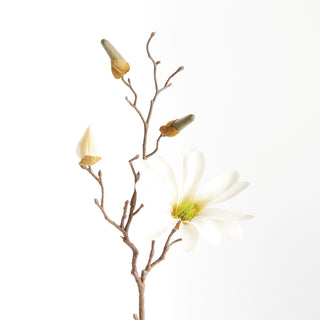 STAR MAGNOLIA STEMS 18", SET OF 6