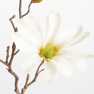 STAR MAGNOLIA STEMS 18", SET OF 6