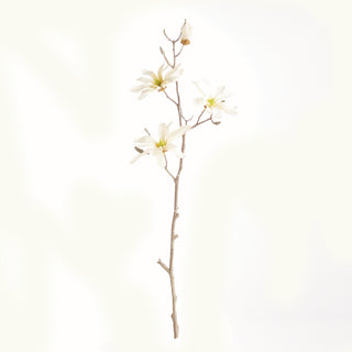 STAR MAGNOLIA BRANCHES 32", SET OF 6