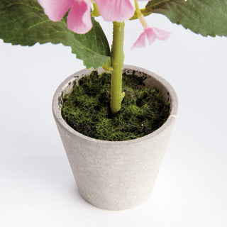 MINI HYDRANGEA POTTED 8", SET OF 4