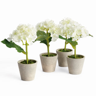 MINI HYDRANGEA POTTED 8", SET OF 4