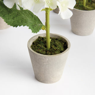 MINI HYDRANGEA POTTED 8", SET OF 4