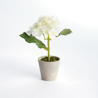 MINI HYDRANGEA POTTED 8", SET OF 4