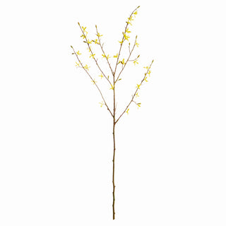 FORSYTHIA STEMS 47", SET OF 6