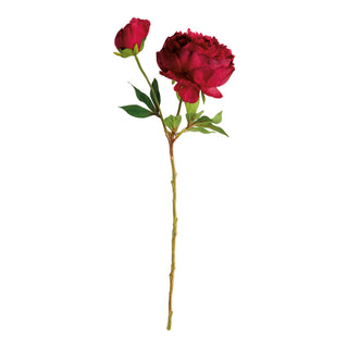 PEONY STEM 21"