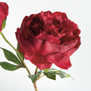 PEONY STEM 21"