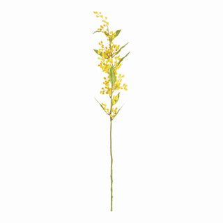 MIMOSA STEMS 27.5", SET OF 6