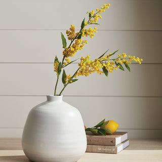 MIMOSA STEMS 27.5", SET OF 6