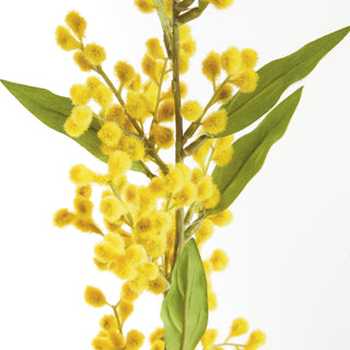 MIMOSA STEMS 27.5", SET OF 6