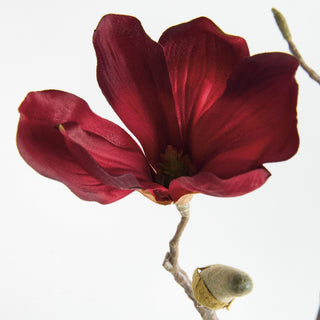 MAGNOLIA STEMS 27" ST/4