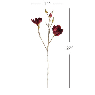MAGNOLIA STEMS 27" ST/4