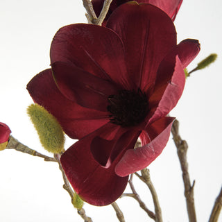 MAGNOLIA BRANCHES 34" ST/4