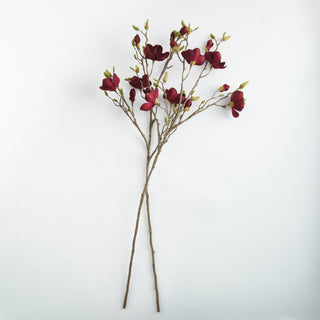 MAGNOLIA BRANCHES 50" ST/2