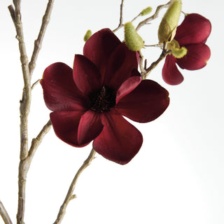 MAGNOLIA BRANCHES 50" ST/2