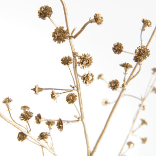 GILDED BABY'S BREATH STEMS 31" ST/4
