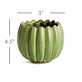 LEANNA POT