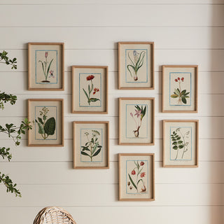 DAINTY FLORA & FAUNA STUDY, SET OF 9