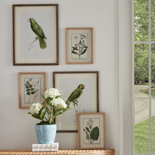 DAINTY FLORA & FAUNA STUDY, SET OF 9