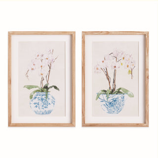 POTTED PHALAENOPSIS PRINTS, SET OF 2