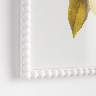 LEMON CUTTINGS STUDY, SET OF 3