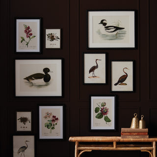 WADING DUCK PRINTS ST/2