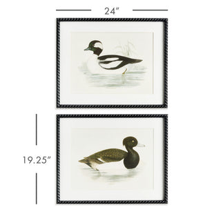 WADING DUCK PRINTS ST/2