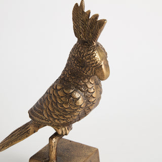 PARROT SCULPTURE
