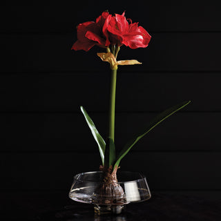 ADALINA DECORATIVE GLASS FOOTED BOWL