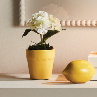 MIRABELLE MINI CACHEPOTS, SET OF 6