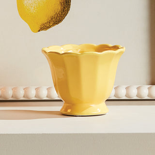 MIRABELLE MINI CACHEPOTS, SET OF 6