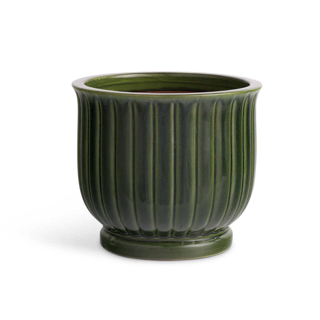 MAKENNA POT LARGE – Napa Home & Garden