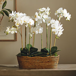 BURMA RATTAN OVAL CACHEPOT